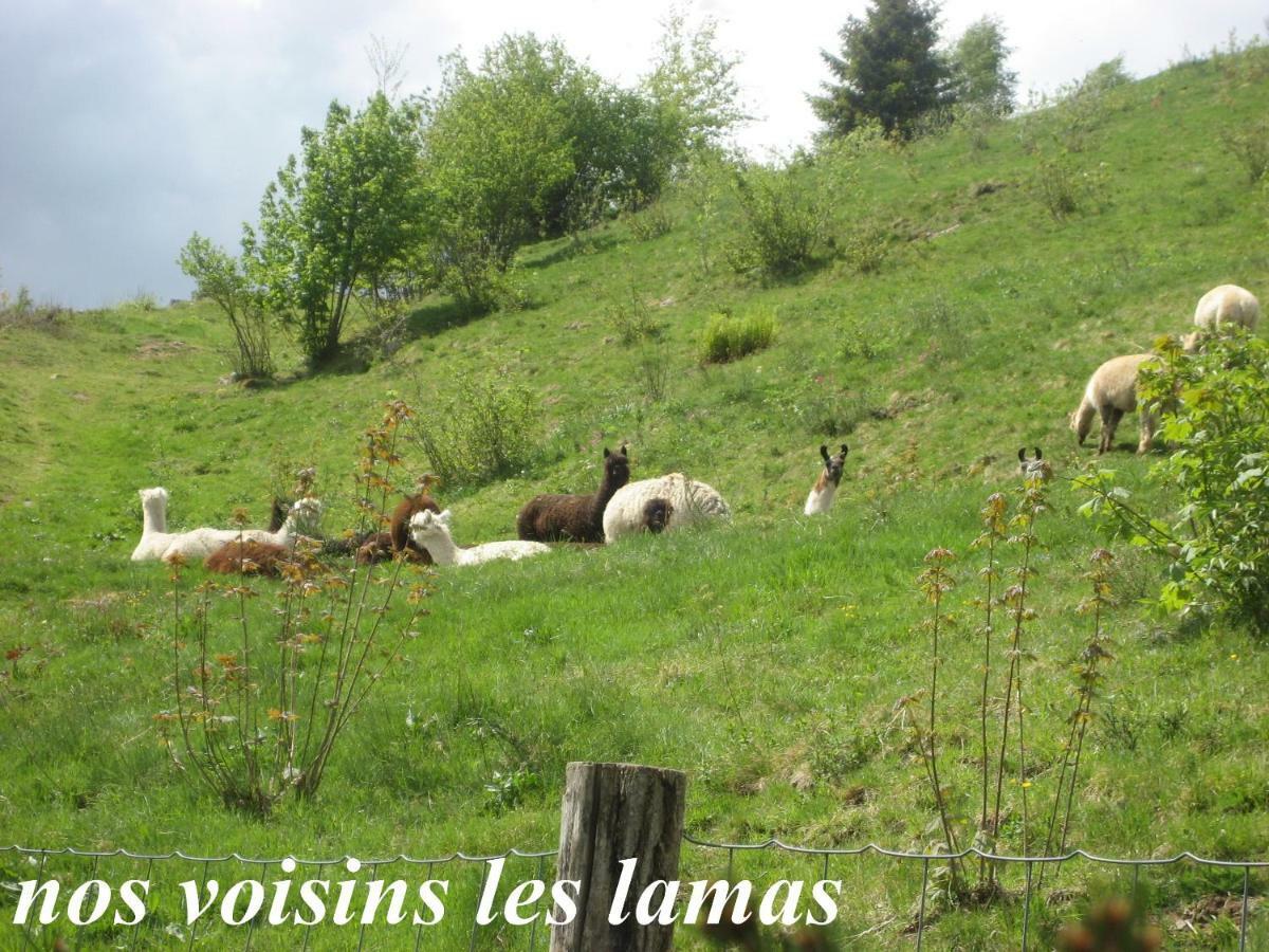 Les Genets Villa La Bresse Eksteriør billede