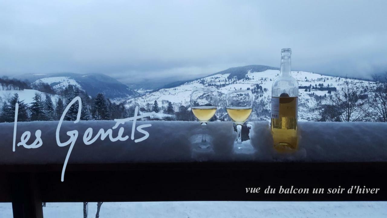 Les Genets Villa La Bresse Eksteriør billede
