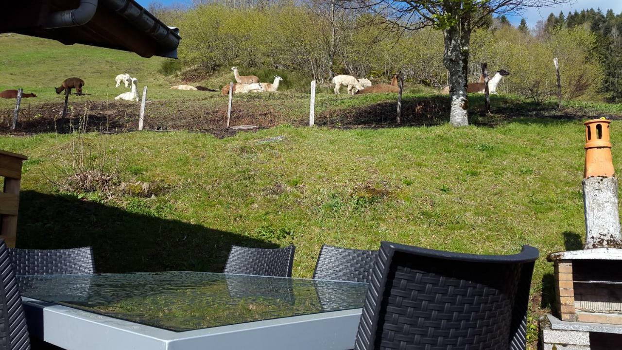 Les Genets Villa La Bresse Eksteriør billede